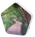 EAN 4030152080014 - Olympia Sounds of Nature imagen 12