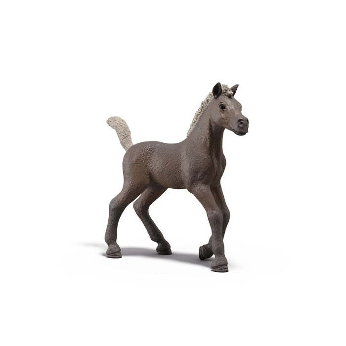 Schleich Horse Club Sammelfohlen Darcy 81460