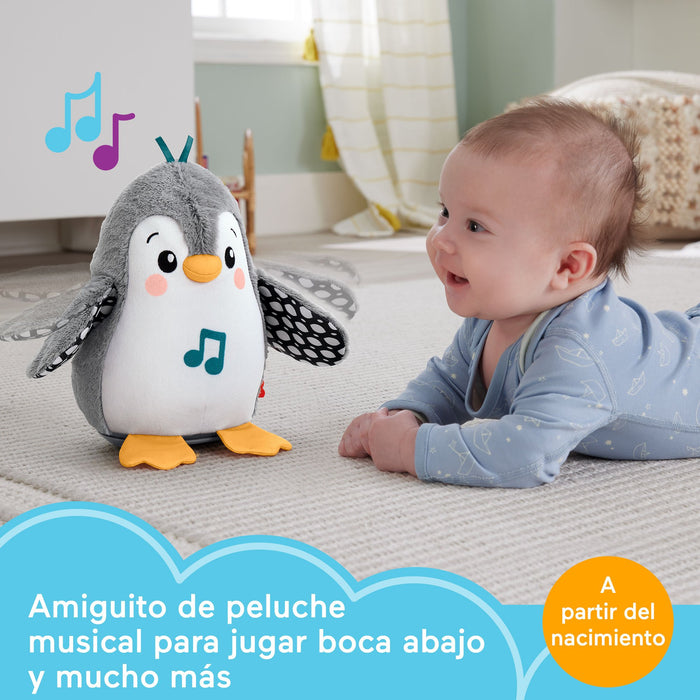 EAN 0194735136742 - Fisher-Price HNC10 juguete de peluche imagen 9
