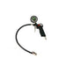 EAN 4006825625738 - Einhell 4133115 manómetro para neumáticos 0 - 13 bar Manómetro digital imagen 1