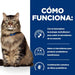 EAN 0052742042084 - Hills 605851 comida húmeda para gatos 3 kg imagen 4