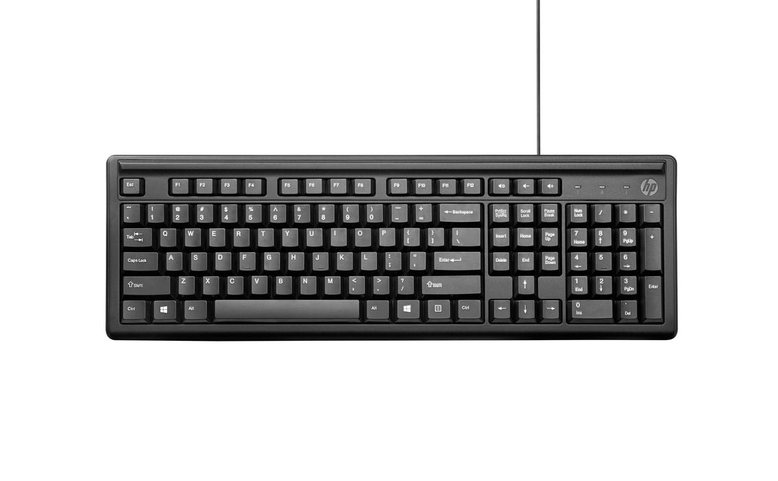 EAN 0194850790638 - HP Keyboard 100 teclado Hogar USB Negro imagen 1