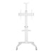 EAN 8059018362176 - Techly ICA-TR48W mueble y soporte para dispositivo multimedia Blanco Panel plano Carro multimedia imagen 6