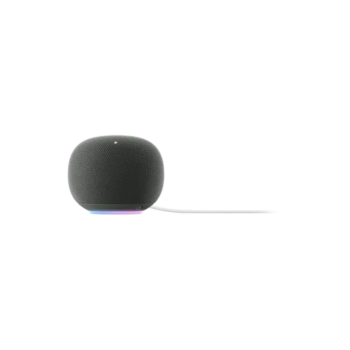 Altavoz Inteligente Google Home 30w Porcelain