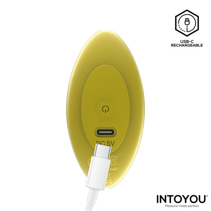Auria Plug Anal Con Vibración Y Control Remoto Usb-C