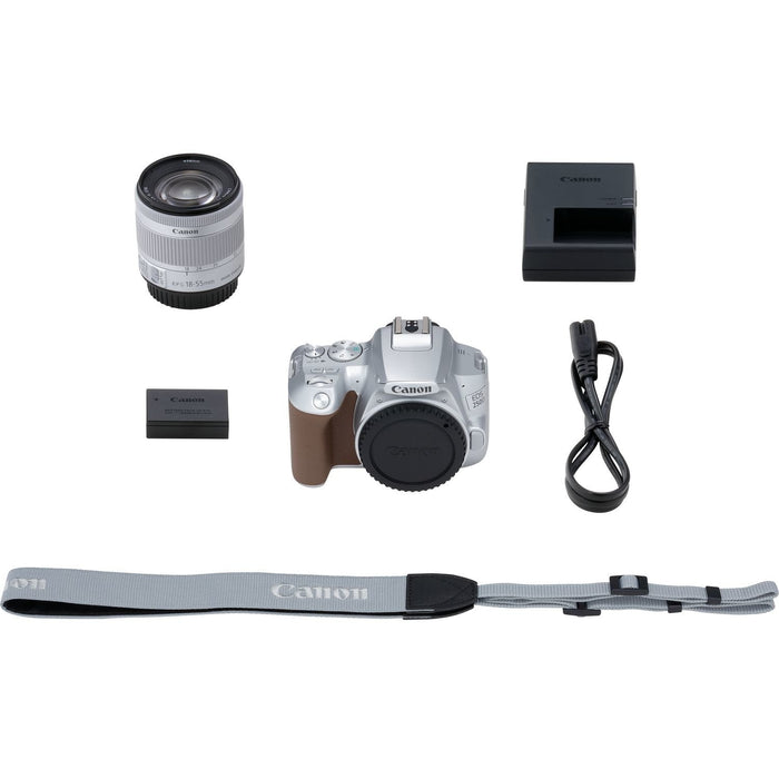 Canon 250d 24mp Wifi Plata + Objetivo Ef-S 18-55mm F4-5.6 Is Stm