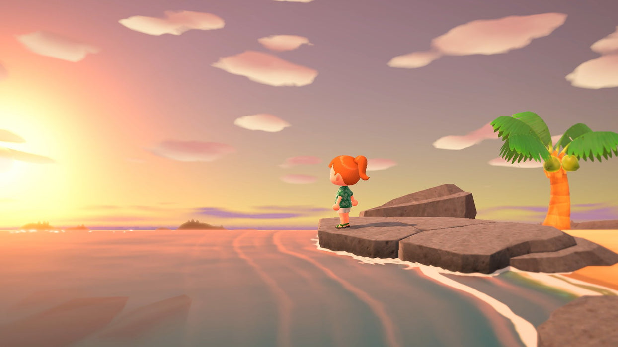 EAN 0045496313777 - Nintendo Animal Crossing: New Horizons Estándar Inglés, Español Nintendo Switch 2 imagen 6
