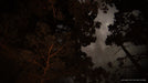 EAN 0711719330806 - Sony Interactive Entertainment The Last of Us Part II Estándar PlayStation 4 imagen 14