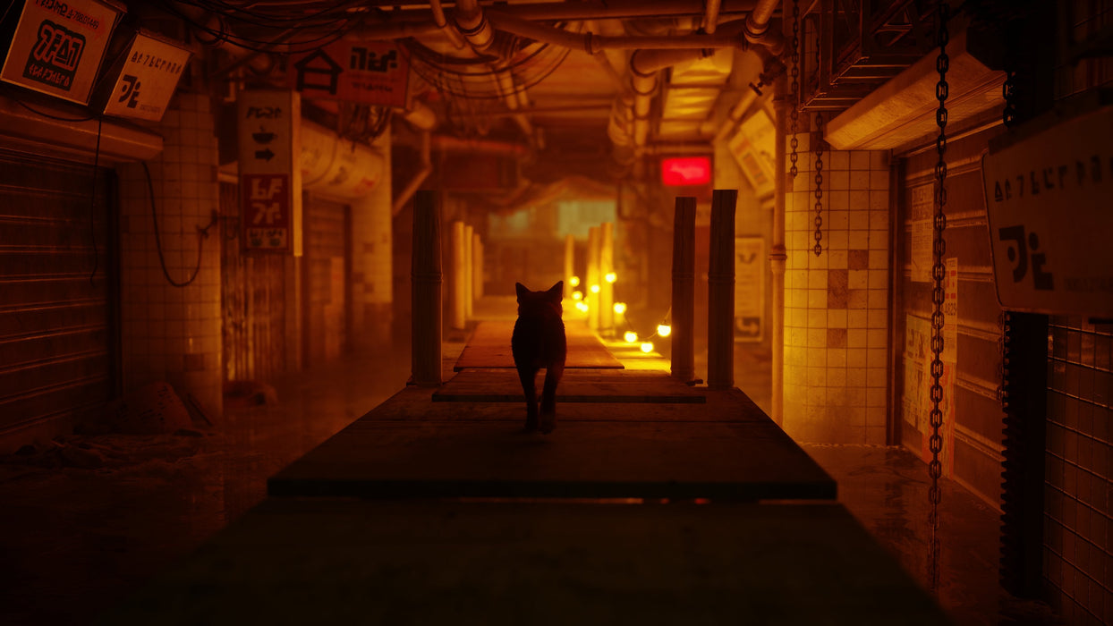Stray