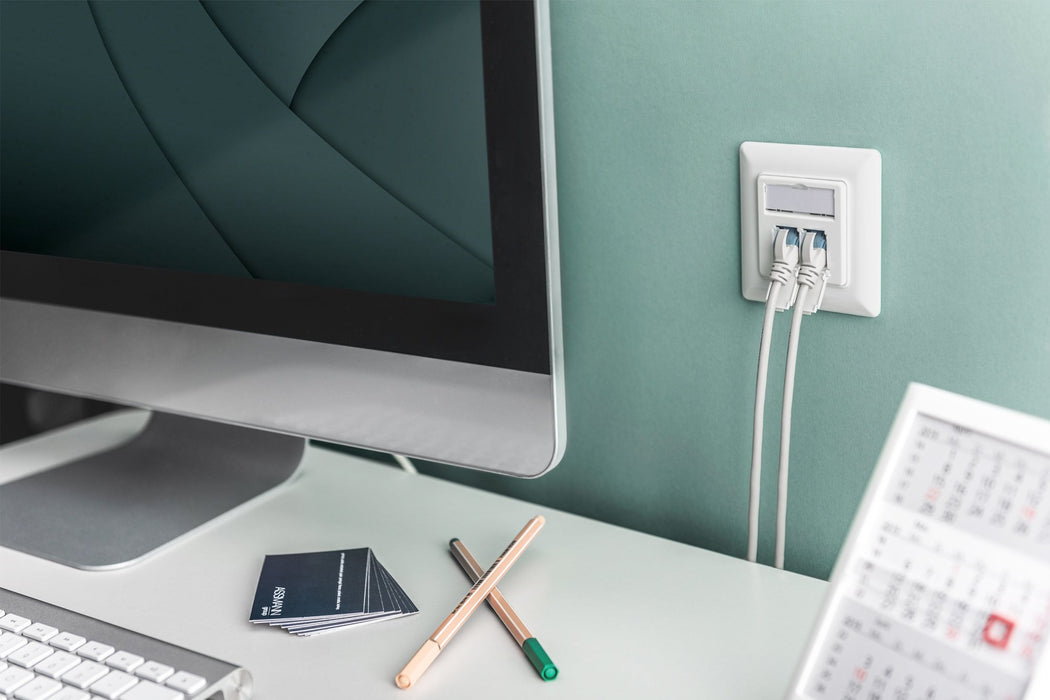 EAN 4016032362418 - Digitus DN-93831 placa de pared y cubierta de interruptor Blanco imagen 2
