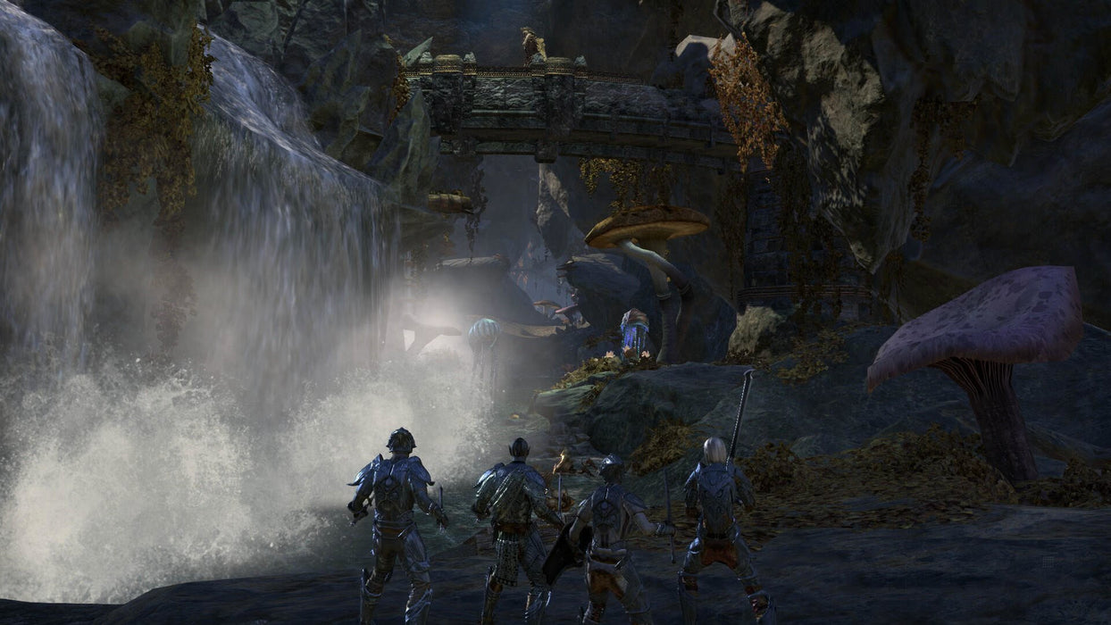 EAN 5055856414049 - Bethesda The Elder Scrolls Online : Morrowind Estándar Alemán, Inglés, Francés PlayStation 4 imagen 2