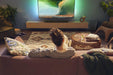 EAN 4895229136779 - Philips 5300 series TAB5309/10 altavoz soundbar Gris 2.1 canales 120 W imagen 9