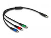 EAN 4043619868209 - DeLOCK 86820 cable USB USB 2.0 0,3 m USB C USB C/Micro-USB B/Lightning Negro, Azul, Verde, Rojo imagen 2