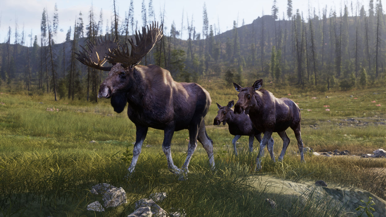 Juego Way Of The Hunter 2 Playstation 5