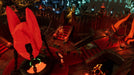 EAN 4260458363546 - Kalypso Dungeons 4 - Deluxe Edition imagen 6
