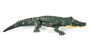 EAN 4262408976325 - Amewi 26115 modelo controlado por radio Motor eléctrico imagen 5