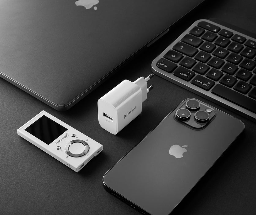 EAN 4034303033195 - Intenso 1x USB-A Adapter weiß Universal Blanco Corriente alterna Interior imagen 4
