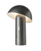 EAN 4029599104179 - Sompex SVAMP lámpara de mesa 4,5 W LED F Carbono imagen 1