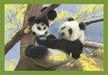 EAN 8005125215324 - Clementoni 21532 puzzle imagen 3