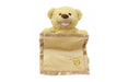 EAN 4042774457372 - Jamara Mr. Babble Bear imagen 10