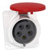 EAN 4013984188707 - Schneider Electric 265204 toma de corriente imagen 1