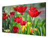 EAN 6942160479927 - Hikvision DS-D2055UL-1B pantalla mural de vídeo LCD Interior imagen 1