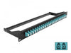EAN 4043619433896 - DeLOCK 43389 panel de parcheo 1U imagen 1
