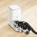 EAN 6972884750941 - CATLINK Fresh 2 Standard comedero y bebedero para perro y gato Acrilonitrilo butadieno estireno (ABS) Bla imagen 6