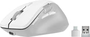 EAN 4027301119183 - SPEEDLINK LIBERA Rechargeable Mouse ratón Juego mano derecha RF Wireless + Bluetooth Óptico 3200 DPI imagen 1