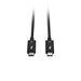 EAN 4002888311304 - Lindy 31130 cable Thunderbolt 1 m 80 Gbit/s Negro imagen 4