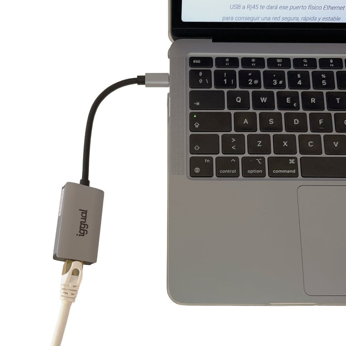 EAN 8435364317693 - iggual IGG317693 adaptador y tarjeta de red Ethernet 1000 Mbit/s imagen 13