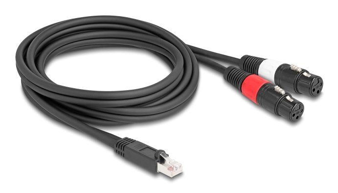 Delock Adaptercable Rj45 Stecker Zu 2 X Xlr 3 Pin Buchse Schwarz 2 M