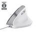 EAN 8713439253979 - Trust Bayo II ratón Oficina mano derecha USB tipo A Óptico 2400 DPI imagen 1