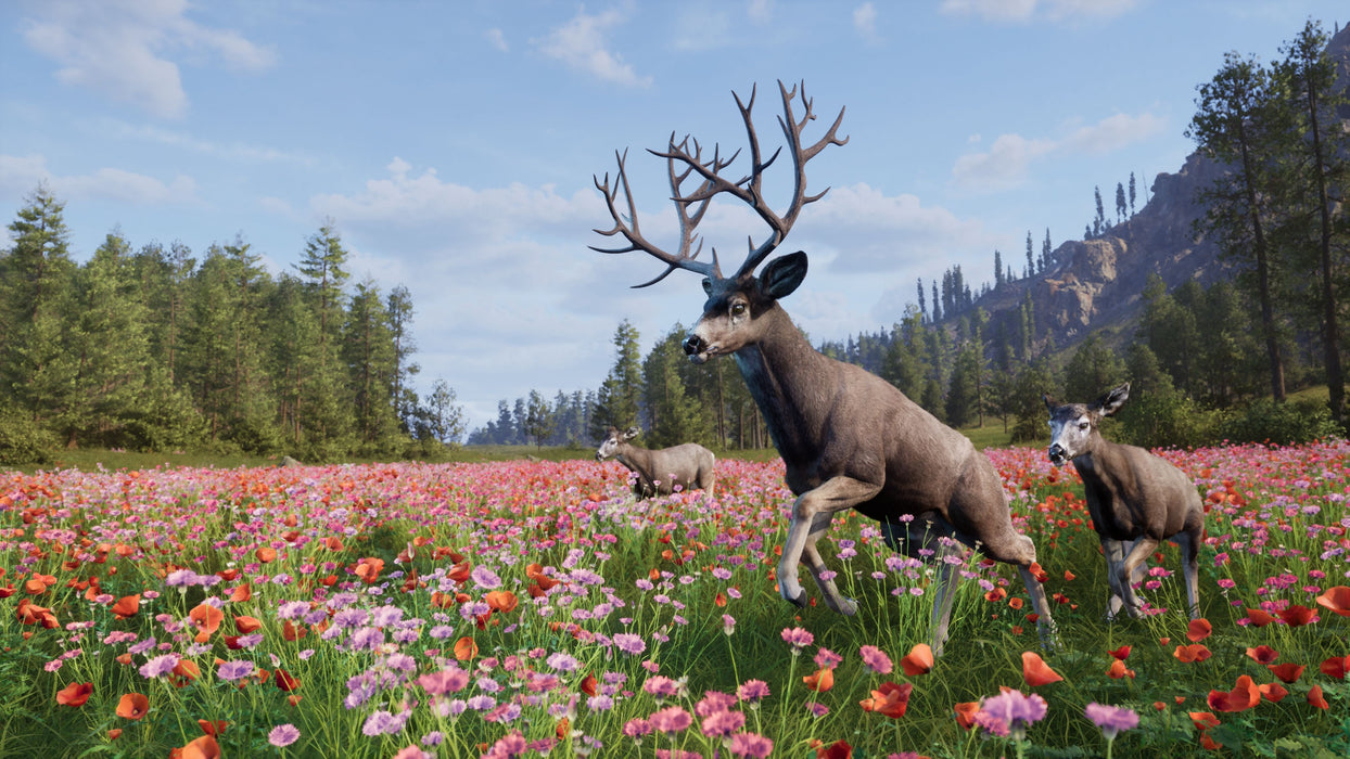Juego Way Of The Hunter 2 Playstation 5
