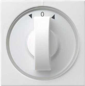 EAN 4010337666035 - GIRA 066603 placa de pared y cubierta de interruptor Blanco imagen 1