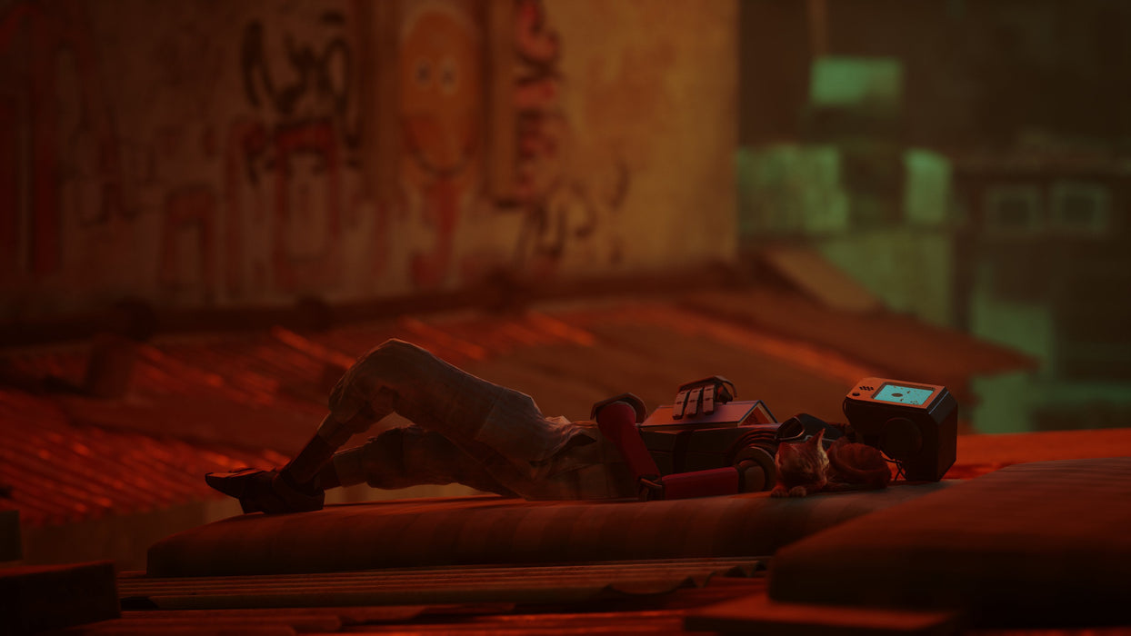 Stray