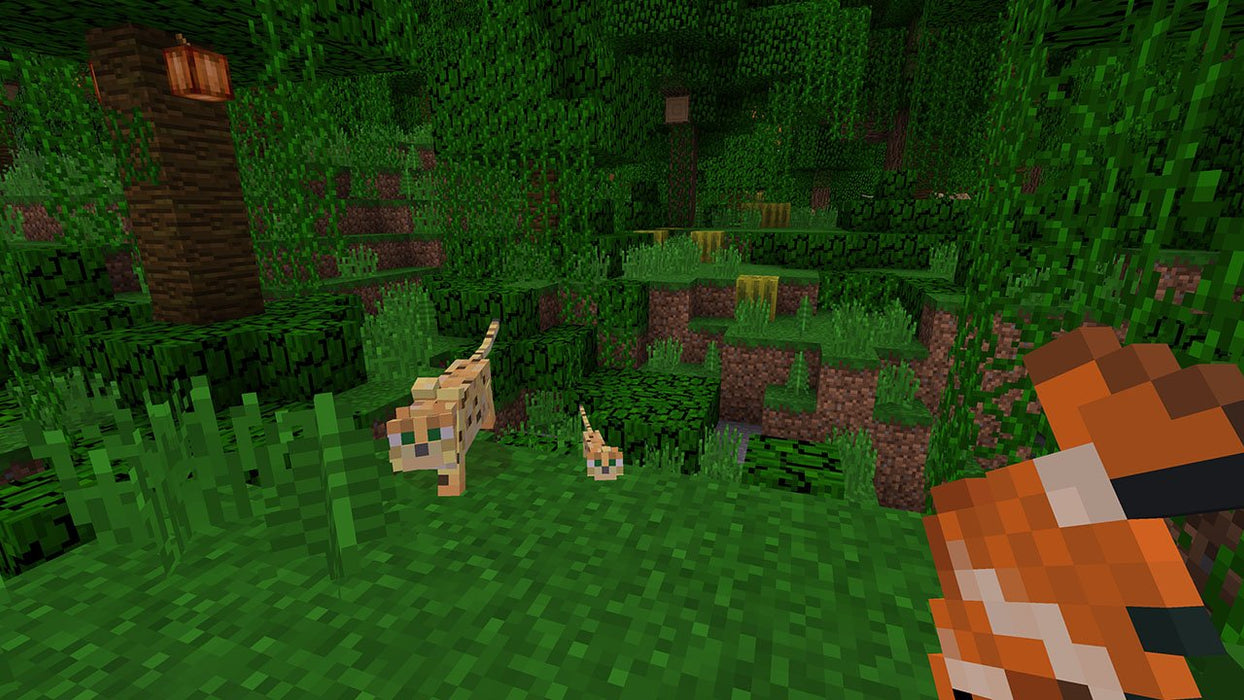 EAN 0045496420642 - Nintendo Minecraft Estándar Nintendo Switch imagen 3