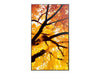 EAN 4550556131018 - Sharp MultiSync M432 Pantalla plana para señalización digital 108 cm (42.5") LCD 550 cd / m² 4K Ultra HD  imagen 3