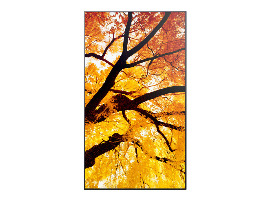 EAN 4550556131032 - Sharp MultiSync M502 Pantalla plana para señalización digital 127 cm (50") LCD 550 cd / m² 4K Ultra HD Ne imagen 2