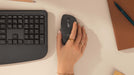 EAN 5099206134119 - Logitech Signature Comfort Plus Combo MK880 teclado Ratón incluido Universal RF Wireless + Bluetooth QWER imagen 6