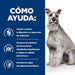 EAN 52742039879 - Hills 606446 alimento húmedo para perros Pollo, Ternera, Cerdo Universal 354 g imagen 5
