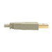 EAN 0037332198785 - Tripp Lite U022-006-BE cable USB USB 1.1 1,8 m USB A USB B imagen 5