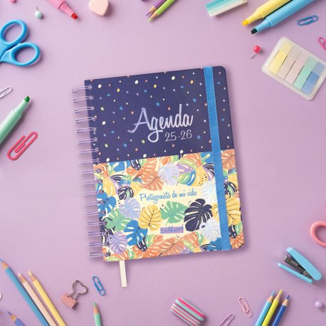 EAN 8422952397137 - Finocam 638341726 agenda Agenda diaria Multicolor imagen 7