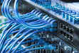 EAN 5605922050994 - Phasak PHK 1703 cable de red Cat6 U/UTP (UTP) imagen 6