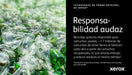 EAN 0095205038095 - Xerox 006R04636 cartucho de tóner 1 pieza(s) Original imagen 3