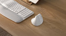 EAN 5099206099845 - Logitech 910-006475 ratón Oficina mano derecha RF Wireless + Bluetooth Óptico 4000 DPI imagen 1