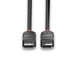 EAN 4002888364904 - Lindy 36490 cable DisplayPort 0,5 m Negro imagen 4