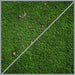 EAN 4006825646252 - Einhell 3424121 accesorio para herramienta manual de jardinería Cepillar Multicolor Nylon imagen 5