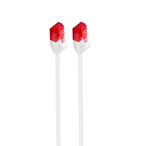 EAN 8054392618604 - Ewent IM1041 cable de red Blanco 5 m Cat6 U/UTP (UTP) imagen 1