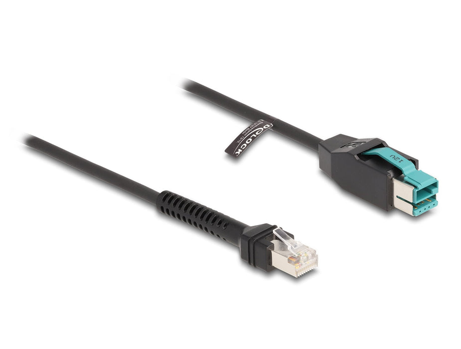 Delock 87995 Cable Rj50 En Espiral Macho A Poweredusb Macho, 12 V, 3 M, Negro